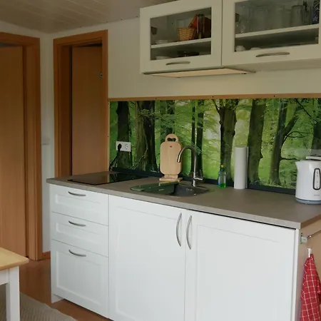 Kuschelschaf Weimar (Thuringia)