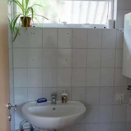 Kuschelschaf * Weimar (Thuringia)